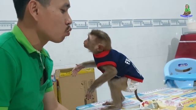 Sam boy is very happy to be with Dad and kiss смотреть онлайн