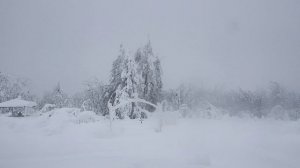 Пермский край, Белогорье. Экотропа.mp4