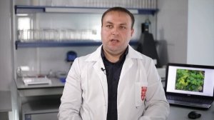 Вирус курчавости листьев малины