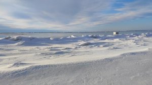 Белое море, Февраль 2025 г.