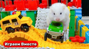 Лабиринт-конструктор с ловушками для умного хомяка ! Видео для детей