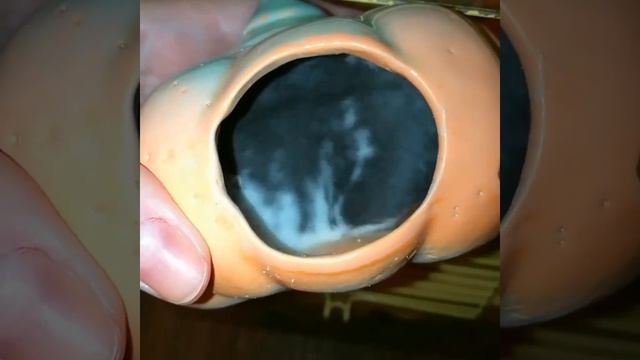 Джунгарики. Сонная тыква 🤷 смотреть онлайн