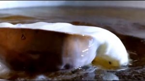 гүрж ногоон цай натуралый грузинский чай