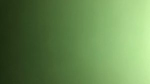 Королева красоты