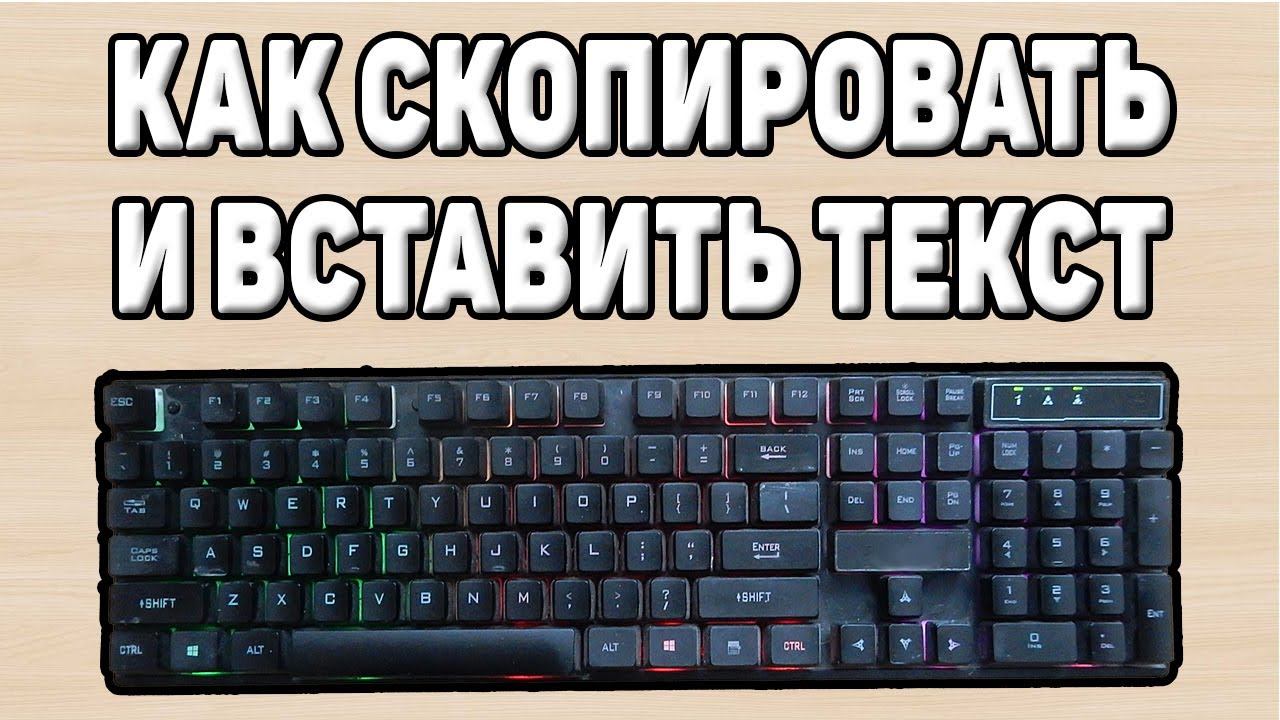 Как скопировать и вставить текст на компьютере смотреть онлайн