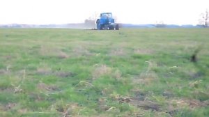 Боронование трав на тракторе МТЗ 50