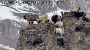 03 Серия. Северная Осетия - Магас