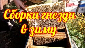 Сборка гнезда в зиму! Последняя ревизия пчел!