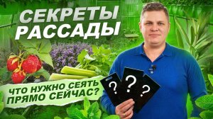 330. ЧТО САЖАТЬ В ФЕВРАЛЕ_ ЛУЧШИЕ КУЛЬТУРЫ ДЛЯ РАССАДЫ -  АГРОФИРМА СЕМКО