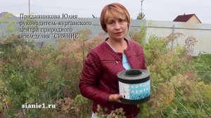 Бордюрная лента на садовом участке