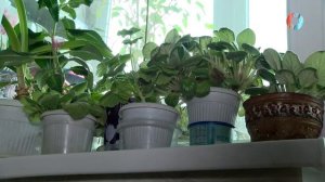 Новости от 10.02.2025