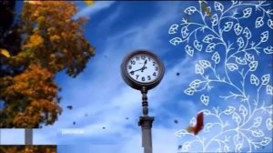 Рекламная заставка (первый канал день 2019) ( листопад листьев)