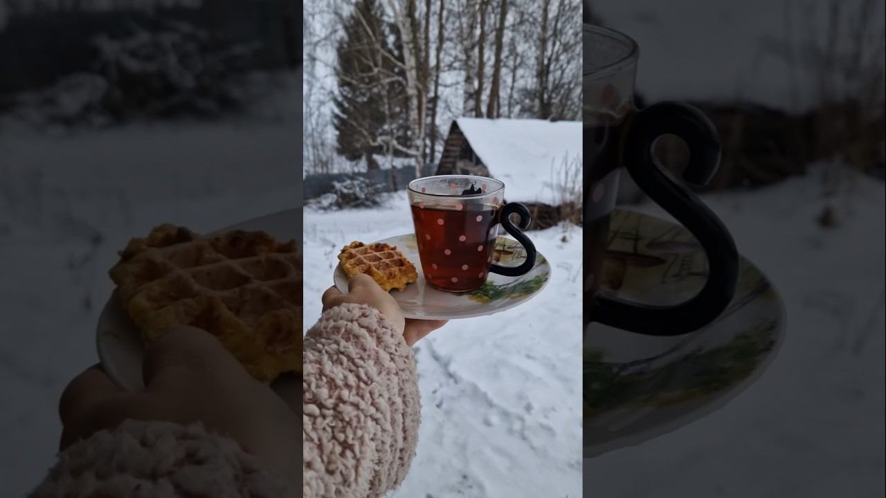 Вектор жизни смотреть онлайн