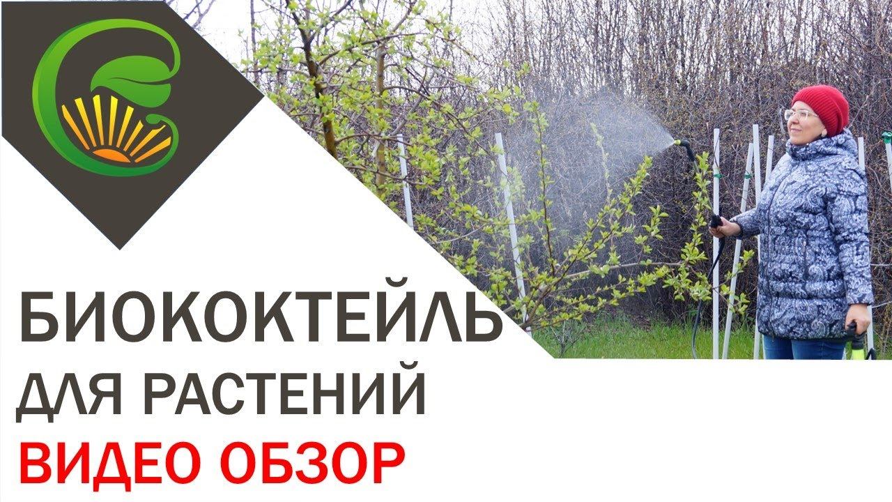 Биококтейль для любых растений (видеообзор) смотреть онлайн