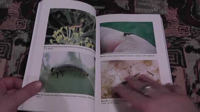 "Поведение насекомых" (Г.И.Рязанова,2019)
