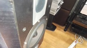 Focal Chorus 705 V