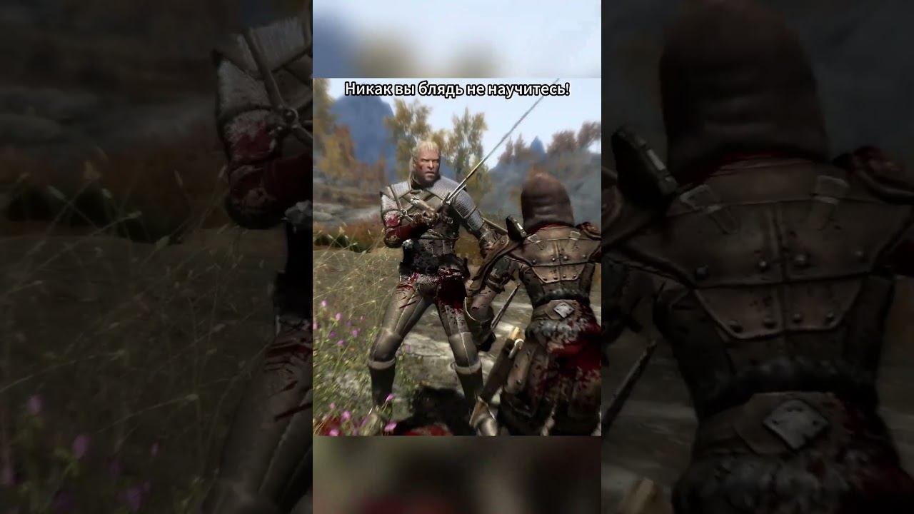 Skyrim, Ведьмака грабят!