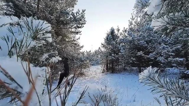 Волга-Волга.Часть 2.