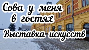 Сова у меня в гостях. Выставка искусств️️
