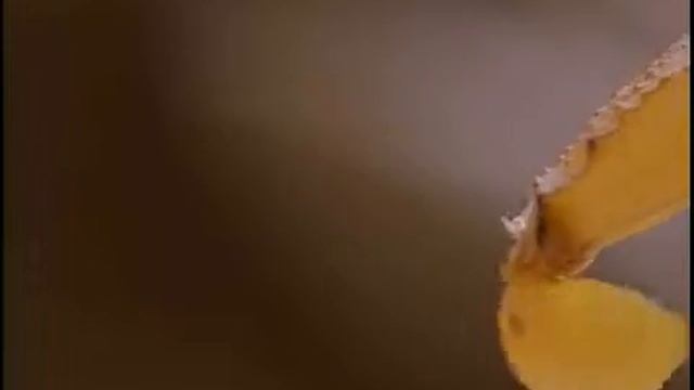 Scorpions & Centipedes / Armored Knights смотреть онлайн