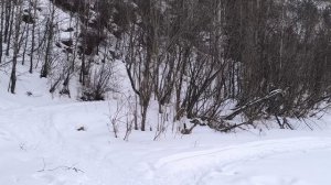 Эко парк Олень гора