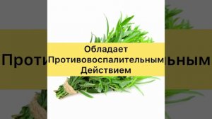 Чем Полезен ТАРХУН Для Здоровья?