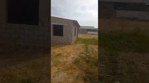 ШУРЧИ УЙ БОЗОРИДАН ШУРЧИ ИНГИЛИСДАН 6 СОТОХЛИ ТОМОРКА НАРХИ 170 МИЛ КЕЛИШАМИЗ 90 075 47 17 ТЕЛ РАКА