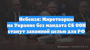 Небензя: Миротворцы на Украине без мандата СБ ООН станут законной целью для РФ