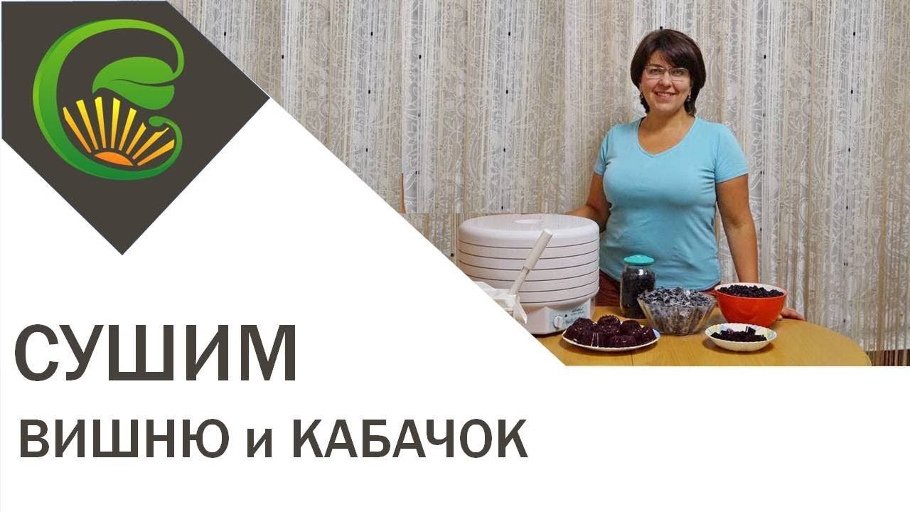 Вишня вяленая, цукаты из кабачка и мармелад на сушилке смотреть онлайн