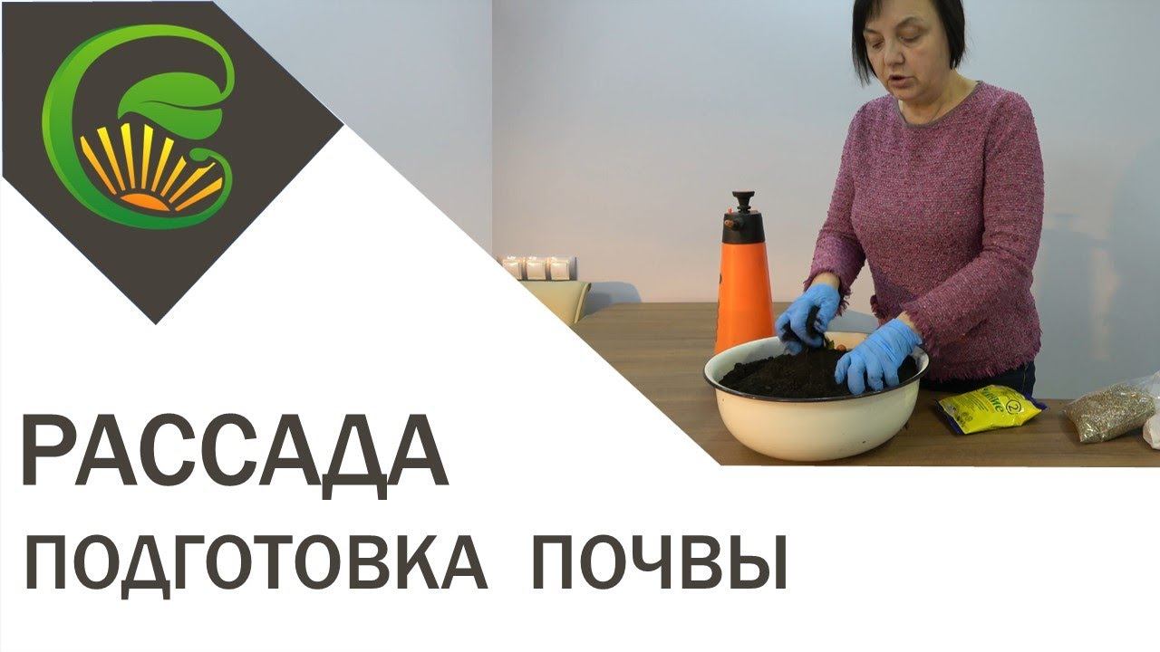 Рассада, подготовка почвы для её выращивания смотреть онлайн