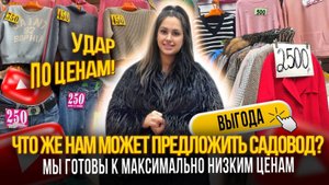 УДАР ПО ЦЕНАМ✨ЧТО НАМ МОЖЕТ ПРЕДЛОЖИТЬ РЫНОК САДОВОД🎀МЫ ГОТОВЫ К МАКСИМАЛЬНО НИЗКИМ ЦЕНАМ