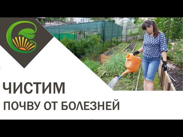 Чистим почву от болезней