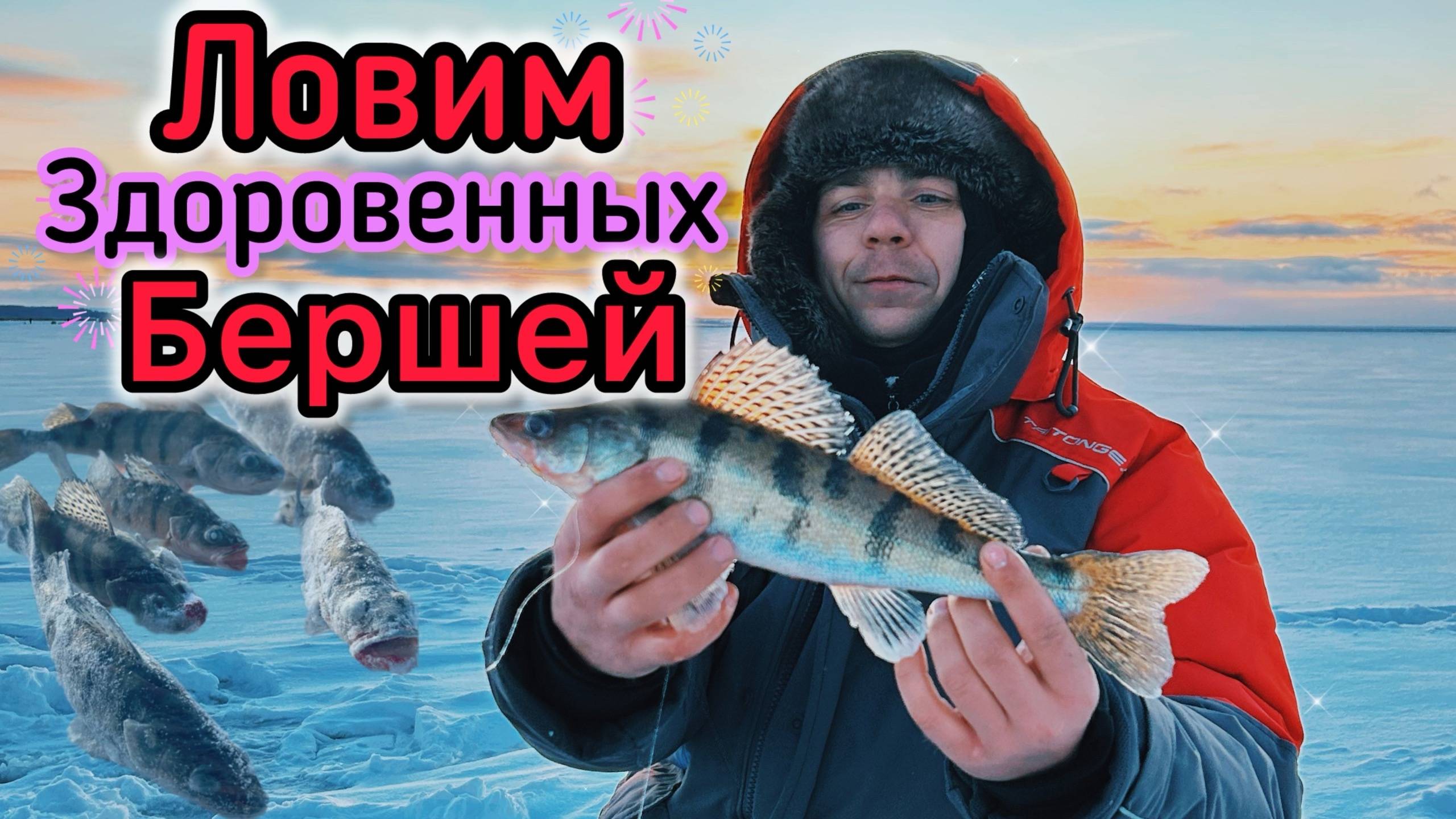 ЛОВИМ здоровенных БЕРШЕЙ