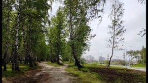 А  Жигулин  О, Родина, в неярком блеске  #стихиородине #поэты20века