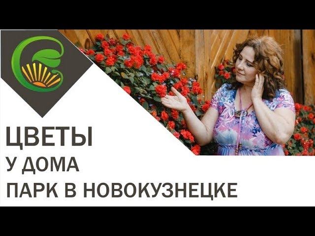 Цветы у дома Парк в Новокузнецке смотреть онлайн