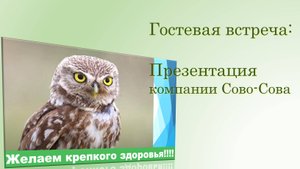 Гостевая встреча команды 1 ТЕАМ. Е. Комиссарова 04.02.2025