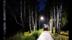 М Лермонтов  И скучно, и грустно #философскаялирика #поэты19века #стихиоразочаровании