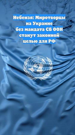 Небензя: Миротворцы на Украине без мандата СБ ООН станут законной целью для РФ