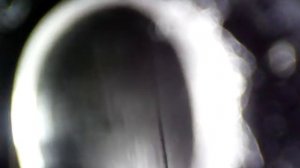 Ствол ружья Рысь-Ф изнутри