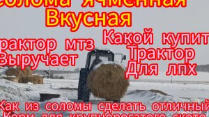 Мтз82 с фронтальным погрузчиком .