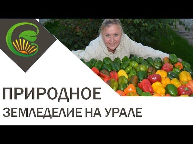 природное земледелие на урале