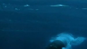 Nightwish-Wishmaster