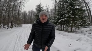 Под хвост ушли деньги