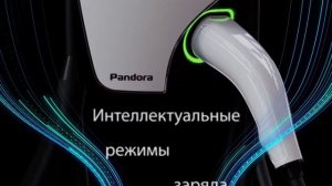 Зарядная станция Pandora Wall-E AC Type 2, 22 кВт