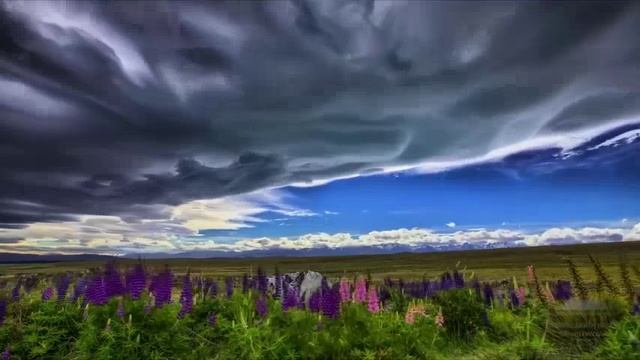 Сборник-8. Музыка Сергея Чекалина