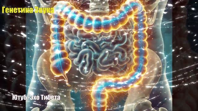 МАТРИЦА 2025 Раскрывает Тайны Здорового Кишечника!Детоксикации и улучшение пищеварения.