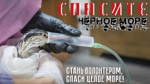 Спасите Чёрное море! (2025) Shas / Александр Шинкаренко