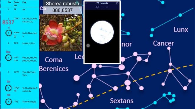 Shorea Robusta смотреть онлайн