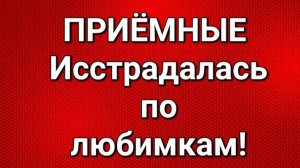 Приёмные/Обзор.