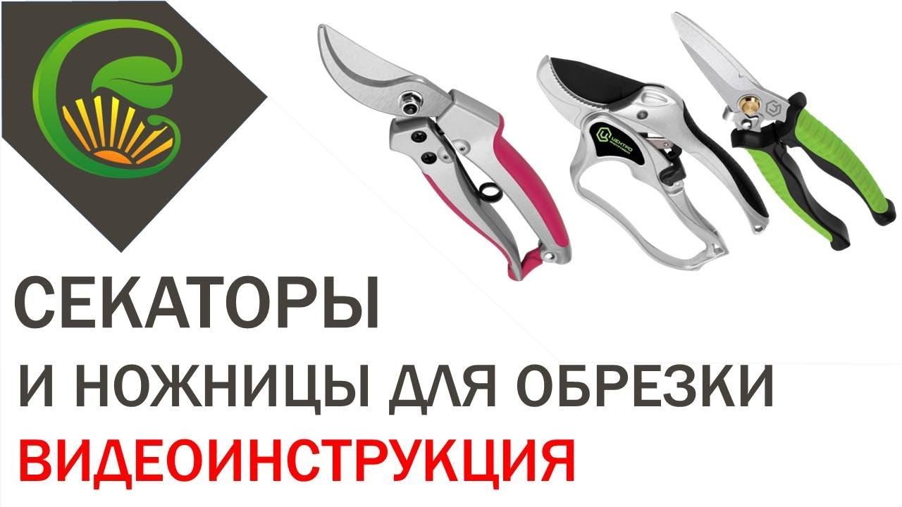 Секаторы и универсальные ножницы (видеоинструкция) смотреть онлайн